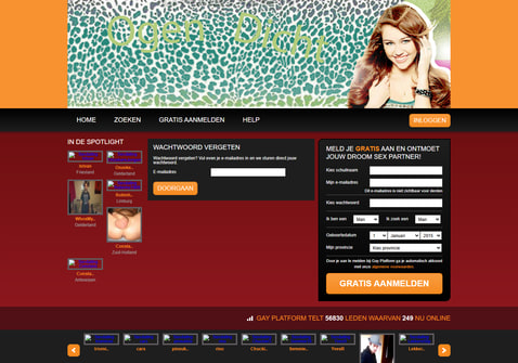 Screenshot van Gayplatform.nl