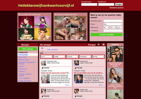 Screenshot van Hetlekkerewijfvankwartvoorvijf.nl