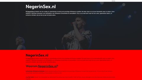 Screenshot van Negerinsex.nl