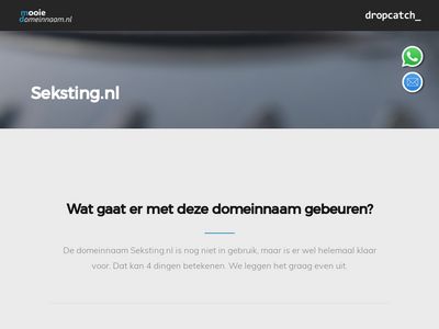 Screenshot van Seksting.nl